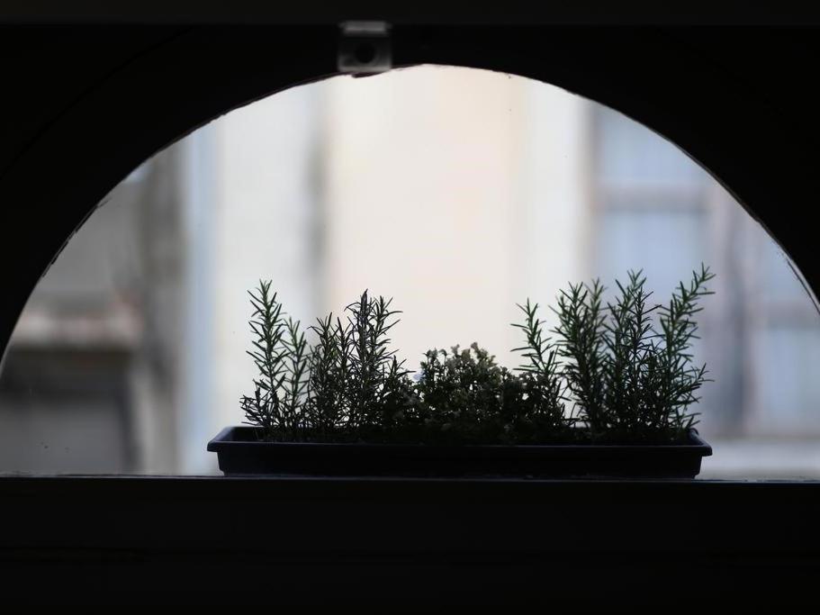 קרקסון Le Relais De La Maison Bacou מראה חיצוני תמונה